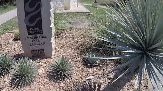 Tour Leon Creek (2)