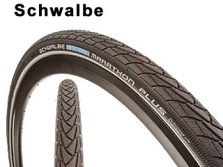 Schwalbe