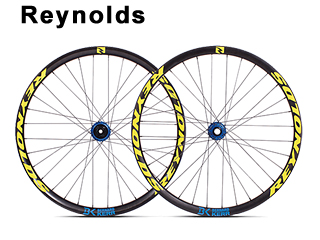 Reynolds