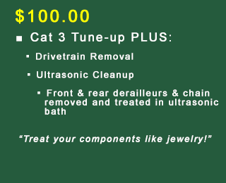 Cat 2 Tune-up