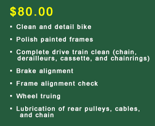 Cat 3 Tune-up