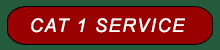 Cat 1 Tune-up